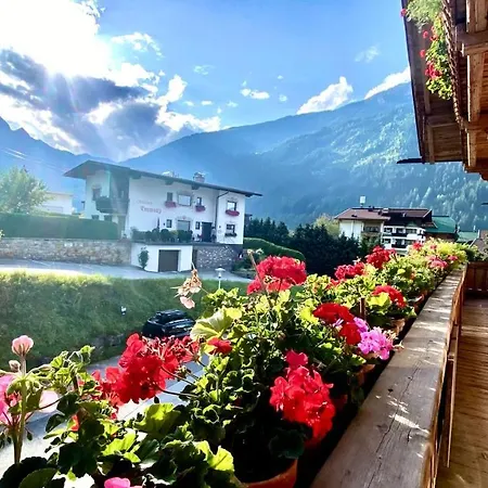 Maple * Mayrhofen