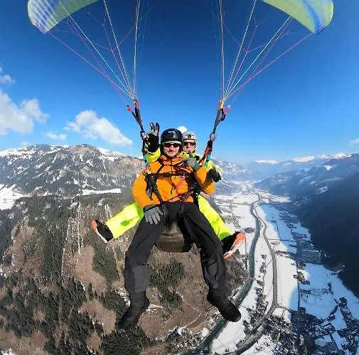 Maple מאיירהופן