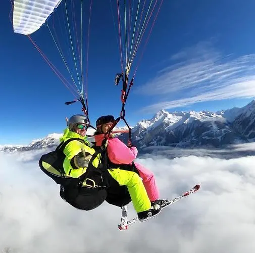 Maple מאיירהופן