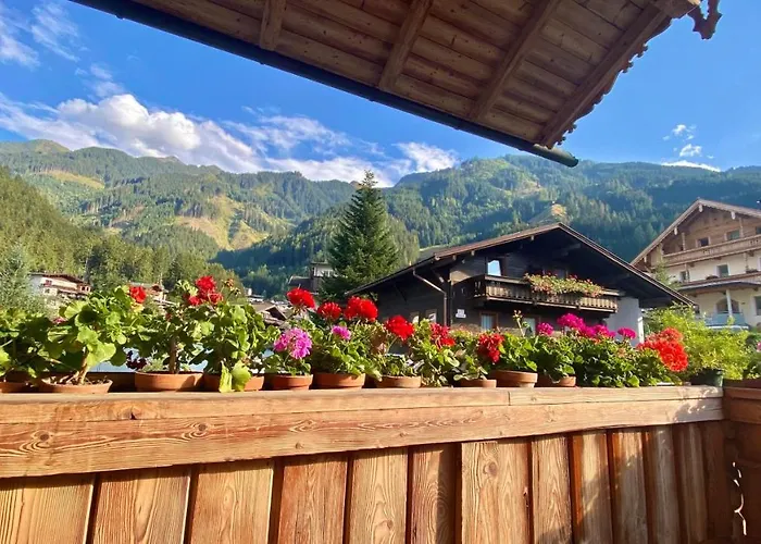 Maple Διαμέρισμα *