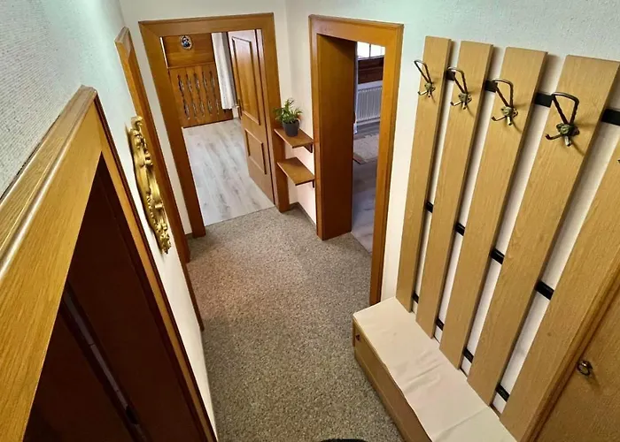 Maple מאיירהופן